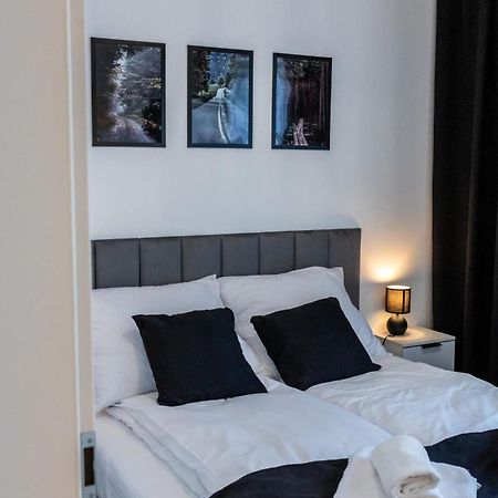 Ds Apartamenty Jasminowa ザトル エクステリア 写真